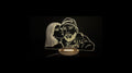 Custom Photo LED Lamp
